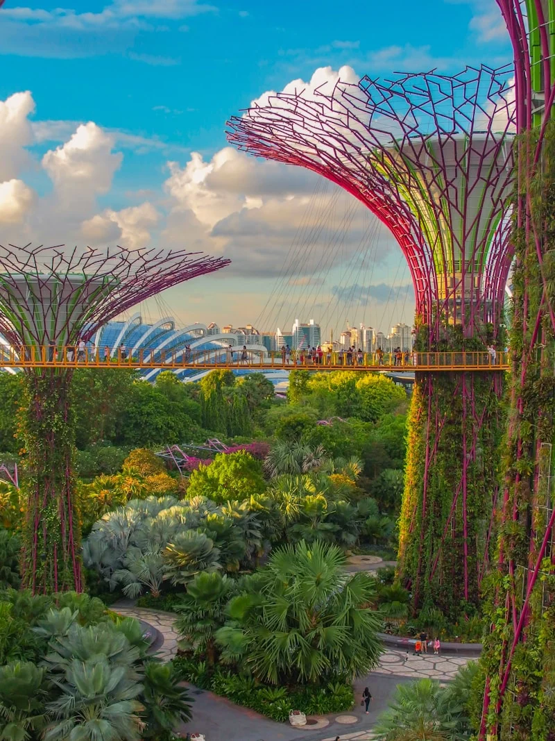 Why Raw Content Works in the US but Can Fail in Asia